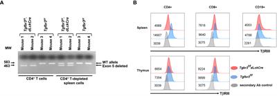 Transforming growth factor receptor III (Betaglycan) regulates the generation of pathogenic Th17 cells in EAE